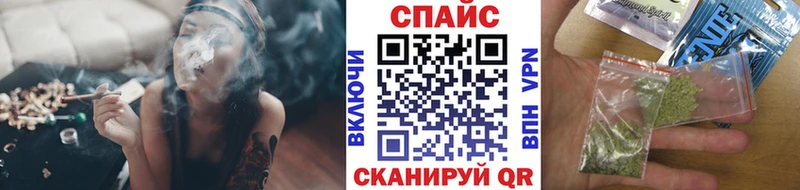 Купить где  Оса  Бутират буратино 
