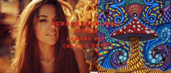 дмт Гусиноозёрск