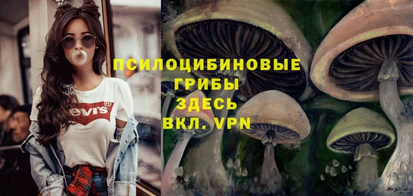мяу мяу кристалл Горно-Алтайск